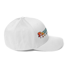 Load image into Gallery viewer, Blilboard slant Flexfit