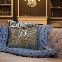 Load image into Gallery viewer, salmonfest retro Pillow