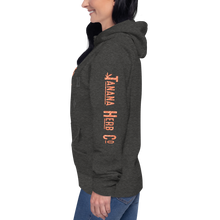 Load image into Gallery viewer, Salmonfest 2023 Hoodie