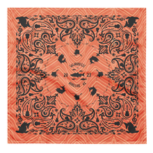 Load image into Gallery viewer, Salmonfest 2023 meaty bandana

