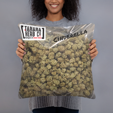 Load image into Gallery viewer, Salmonfest Stripes Bag-o-Weed Pillow
