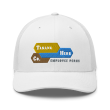 Load image into Gallery viewer, EMPLOYEE PERKS CAP
